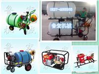 高效率防除治病蟲打藥機 背負式高壓噴霧器助力現(xiàn)代農業(yè)
