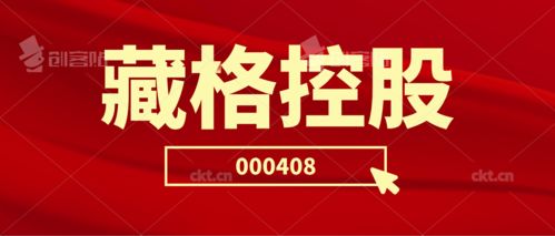 藏格控股二審維持原判 投資者索賠持續(xù)推進(jìn)，日用品貿(mào)易銷售業(yè)務(wù)前景引關(guān)注